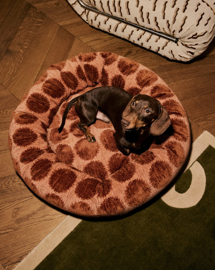 Dogguo